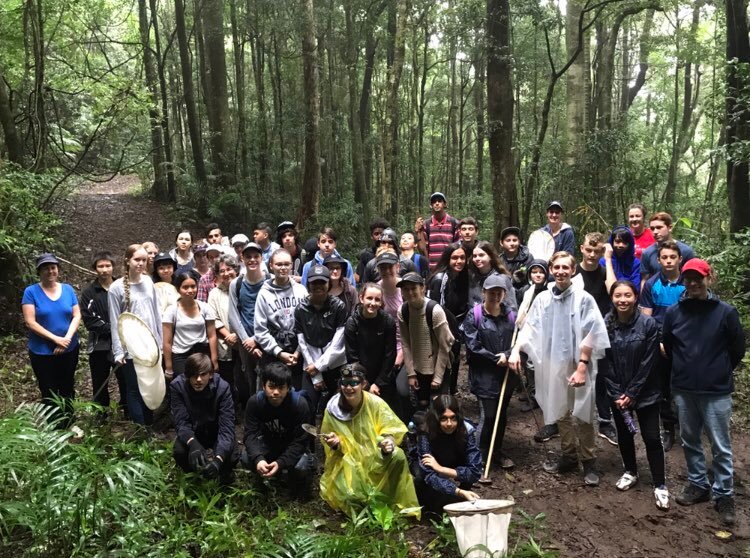 Bionauts team in the forest for biodiscovery expedition to discovery and identify new species.